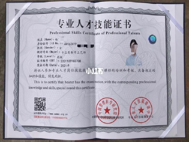 护照通行证制作
